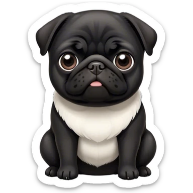Black pug with white patch on chest sticker