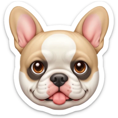 White French bulldog with flesh colored nose sticker