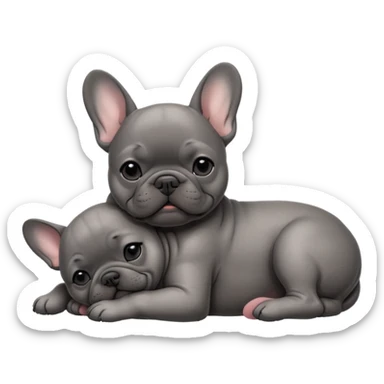 Dark Gray French bulldog puppy sleeping sticker