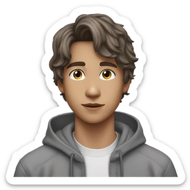 teen boy, chestnut long hair to the back, circle silver earring, grey sweat sticker