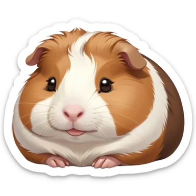 Meme-Worthy Cute Sleeping Brown and White Banded Guinea Pig Portrait Emoji, Head resting peacefully with a contented smile, showcasing a delightfully chubby build and a luxuriously soft banded fur of brown and white, eyes shut in a serene, cozy nap, Simplified yet hilariously adorable features, highly detailed, glowing with a soft, drowsy light, high shine, relaxed and utterly lovable, stylized with an air of playful laziness, bright and heartwarming, soft glowing outline, capturing the essence of a comically sleepy guinea pig, so meme-worthy it feels like it could instantly become the next viral sensation of adorable slumber! sticker