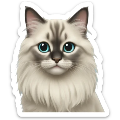 The kitten of the Neva masquerade cat sticker