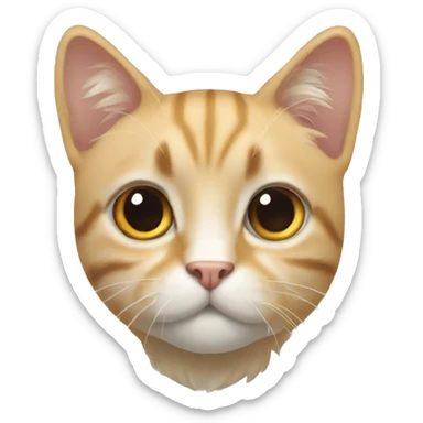 Biały kot widziany z boku sticker