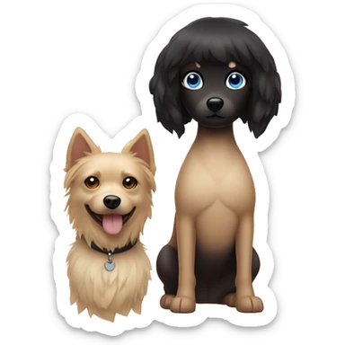 blonde girl with a bob and blue eyes next to a black Spitz dog with a beige chest sticker
