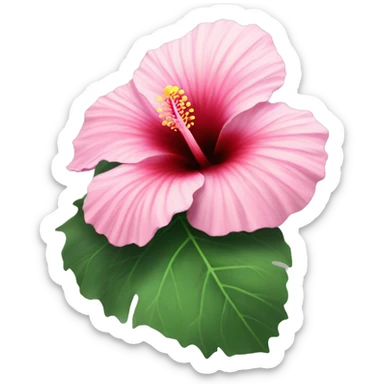 enchanting hibiscus flower that looks special but very pretty sticker
