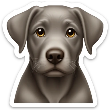 silver chocolate lab puppy sticker