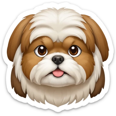 Shihtzu dtehen braun-weiss in einem Herz sticker
