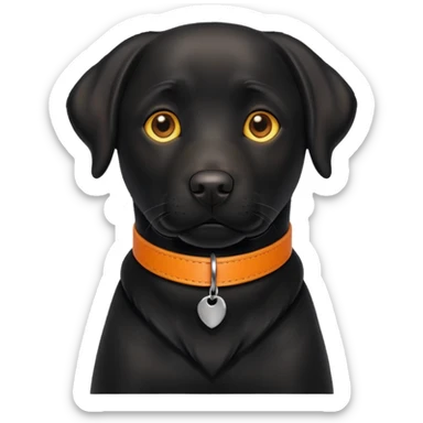 1 black labrador with yellow collar, 1 black labrador with orange collar sticker