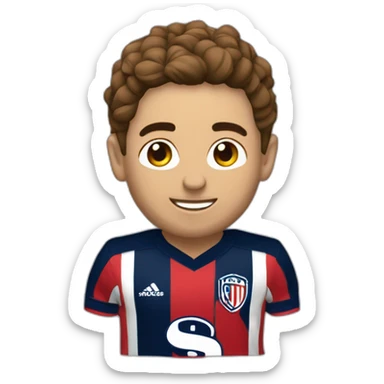 Festeja club san Lorenzo  sticker