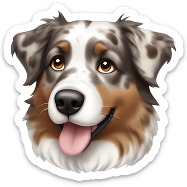 Brown Merle Australian shepherd with blue eyes sticker