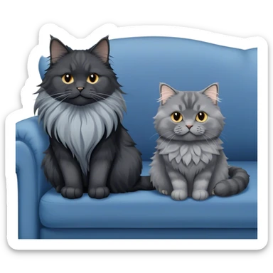 A large black smoke Maine Coon cat with long grey ear tufts and a fluffy grey ruff, sitting next to a chubby British Shorthair cat in blue color with plush fur, both sitting comfortably on a sofa. Beautiful room background with flowers and soft lighting. Transparent background. sticker