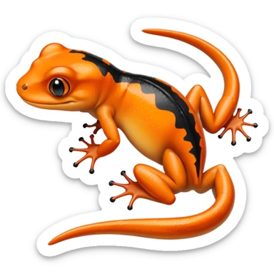 Newt, Amphibians. sticker