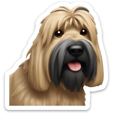 Briard couleur : noir avec un texte rouge en arc de cercle écrit "WAF WAF" police d'écriture : Verdana Bold sticker