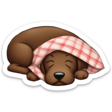 A chocolate colored doodle with a red and black flannel handkerchief sleeping sticker