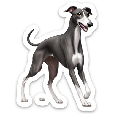 racing greyhound running sticker