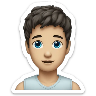 young boy with dark staight hair and blue eyes sticker