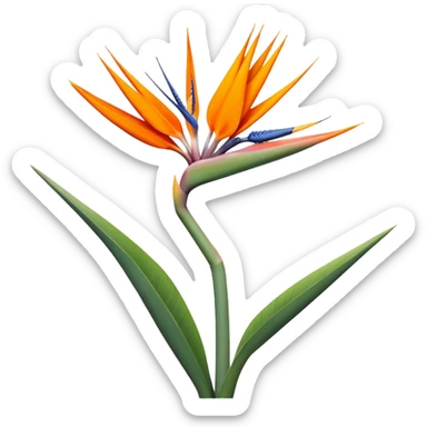 single Strelitzia Reginae, straight stem sticker