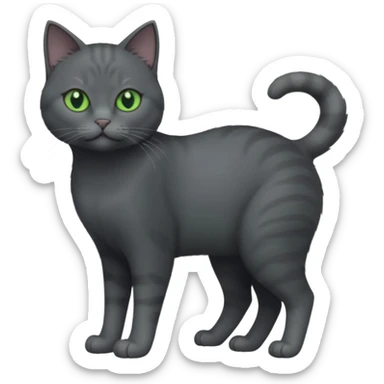 full body view of beautiful female solid dark grey cat with green eyes, grey face, white toes/paws and small white patch on her chest sticker