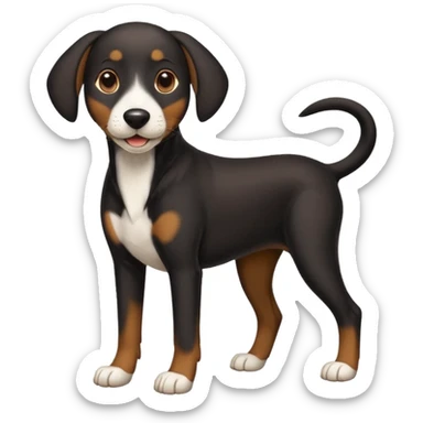 shorthaired black hound dog with white on chest, nose, and paws, full body, happy expression sticker