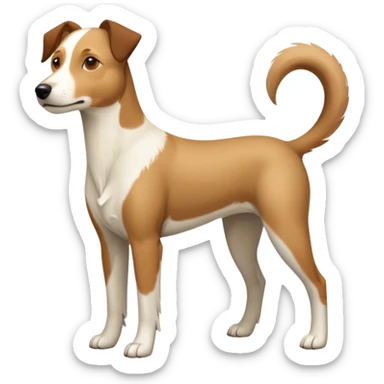 a full body large white parson russell looking dog the size of a kelpie with light brown flapped down ears and a light brown patch on one eye and a large snout sticker