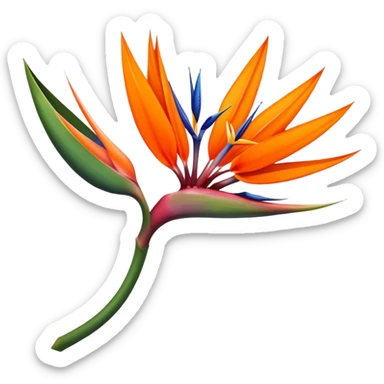 the flower the bird of paradise  sticker
