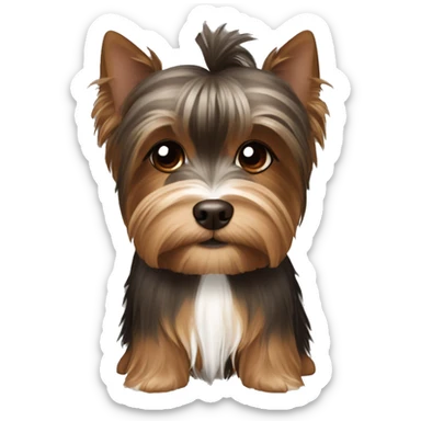 Deep Brown and white Yorkshire Terrier Witz Brown Hair Girl  sticker