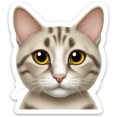 un chat siamois croisé tabby  sticker