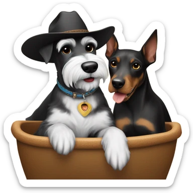 White and black Miniature schnauzer being ridden by a Doberman pincher wearing a cowboy hat sticker