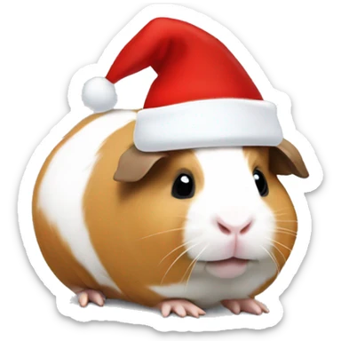 white and light brown guinea pig with a santa hat sticker