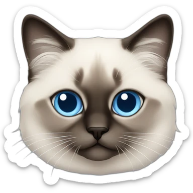 birman cat with blue eyes, and which is very cute af sticker