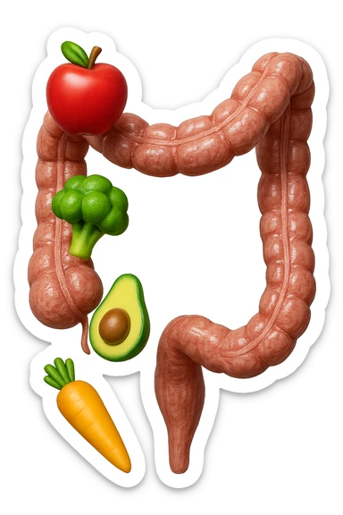 emoji stile iphone in 3d di cibo sano che fluttua in aria vericalmente insieme a pezzi di colon umano anatomico, iperrealistico 4k sticker