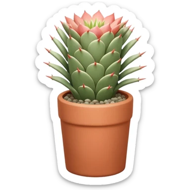 A ceramic pot in a pastel terracotta color, shaped like a cylinder, the pot is tall and contains an Acanthocalycium Glaucum cactus plant. sticker