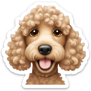 Cute young cocker poodle mix in beige and curly fur happy face fur more apricot and more like cocker spaniel looking  sticker