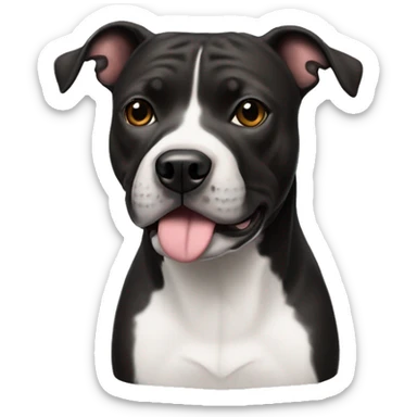 a dark drown staffordshire bullterrier with white nose sticker