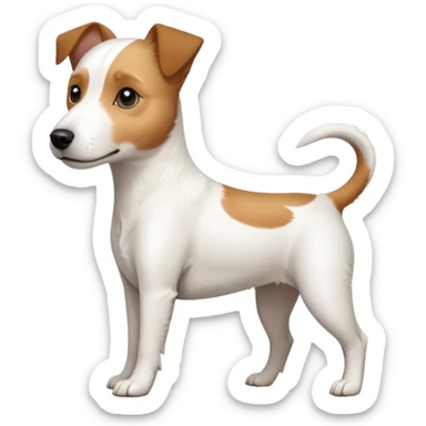 a full body slightly chubby white parson russell terrier looking dog the size of a kelpie with light brown long ears and a light brown patch on one eye and a large snout. the rest of the dog is completely white sticker