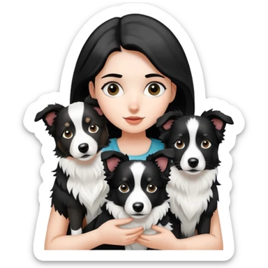 A girl holding two black and white border collies sticker