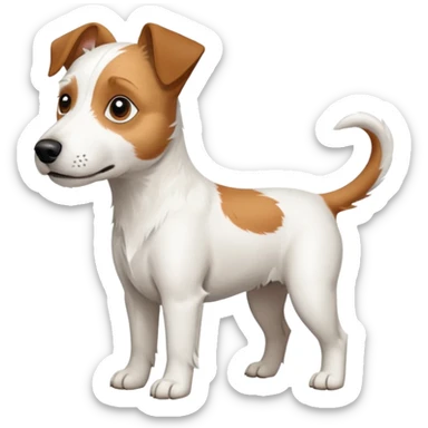 a full body large white parson russell looking dog the size of a kelpie with light brown ears and a light brown patch on one eye and a large snout sticker
