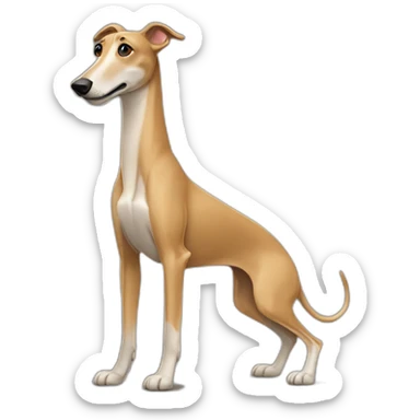 tan greyhound sticker