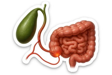 CISTIFELLEA E INTESTINO SONO COLLEGATI NEL DOLORE, iperrealistico 4k sticker