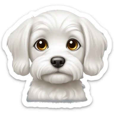 Maltese puppy with long ears and a short-cropped muzzle sticker