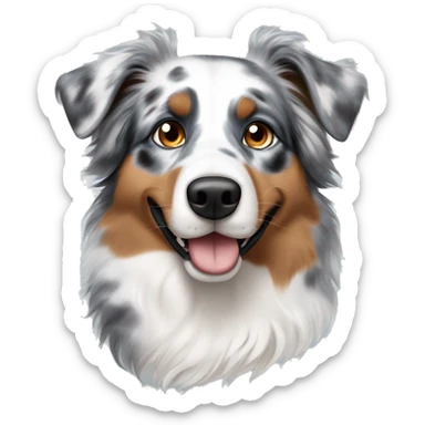 australian shepard dog blue merle with one blue and and one brown eye with gray fur around his eyes and brown till the fur around his nose which is white sticker