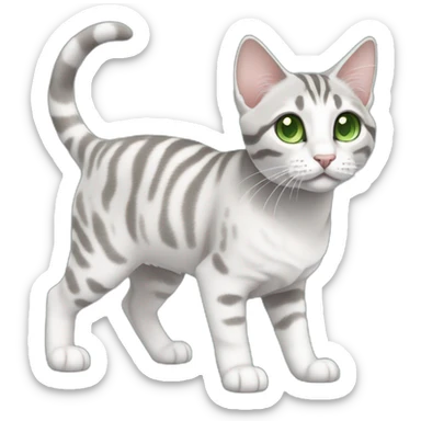 cute light white and grey domestic shorthair tabby with green and blue eyes black pupils, walking and playing sticker