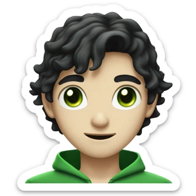 teenage white-skinned wizard with black hair and green eyes in green disgue sticker
