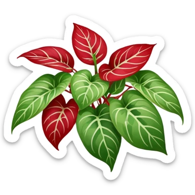 red Variegated pothos sticker