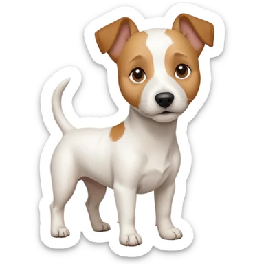 a full body white jack russel looking dog the size of a kelpie with light brown ears and a light brown patch on one eye and a large snout sticker