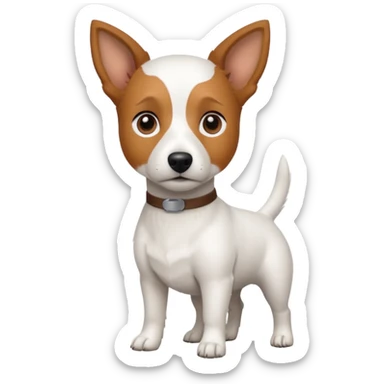 a fully white jack russell the size of a kelpie with light brown ears and a light brown patch on one eye sticker