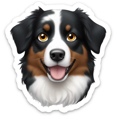 Black and white Australian shepherd with one blue eye and one brown eye with white stripe between eyes sticker