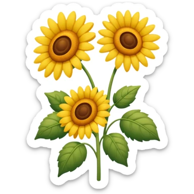 sonnenblumenstrauch  ohne personen, aber mit daum ok zeichen sticker