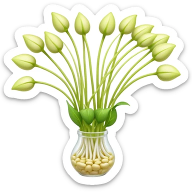 small cluster of fresh soybean sprouts with pale white stems and light yellow-green tips, long crisp shape, slightly translucent texture, gentle natural curves, loose arrangement, no bowl, garnish, or water droplets, soft lighting, subtle shadows, emoji scale sticker