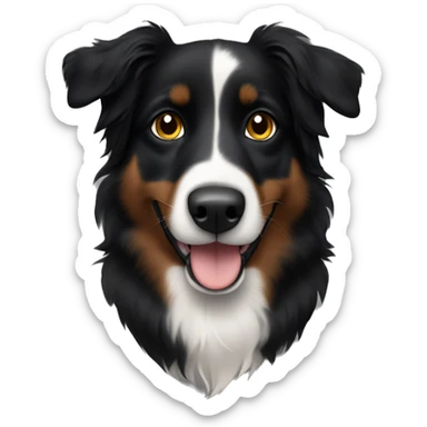Small black australian shepherd dog with dark brown eyes and black face sticker